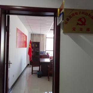 爱游戏体育党支部简介